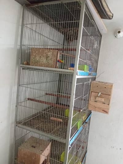 4 positions cage for birds