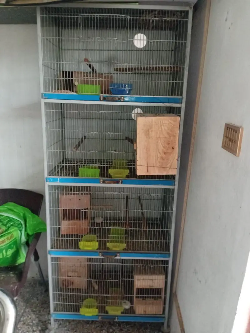4 positions cage for birds — photo 2