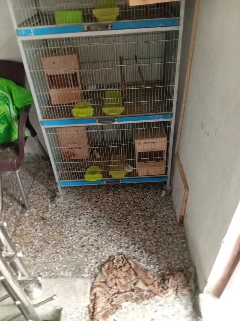 4 positions cage for birds — photo 4