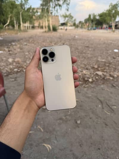 iPhone 13 Pro Max 256 gb