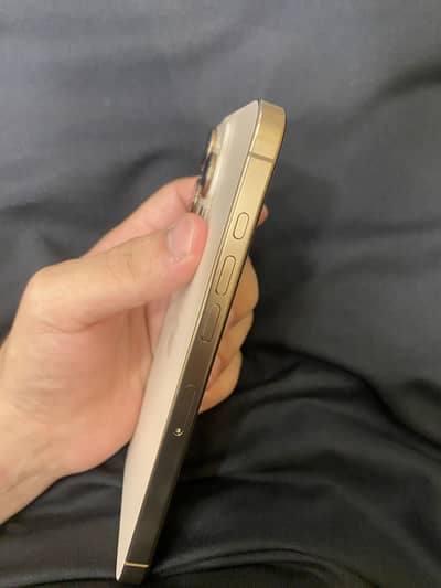 Apple iPhone 16 Pro