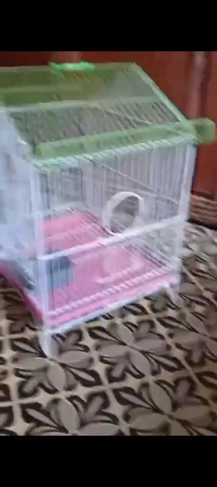 cages