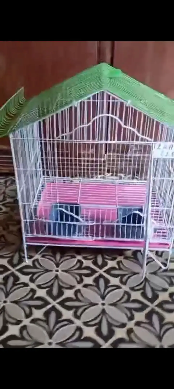 cages — photo 2