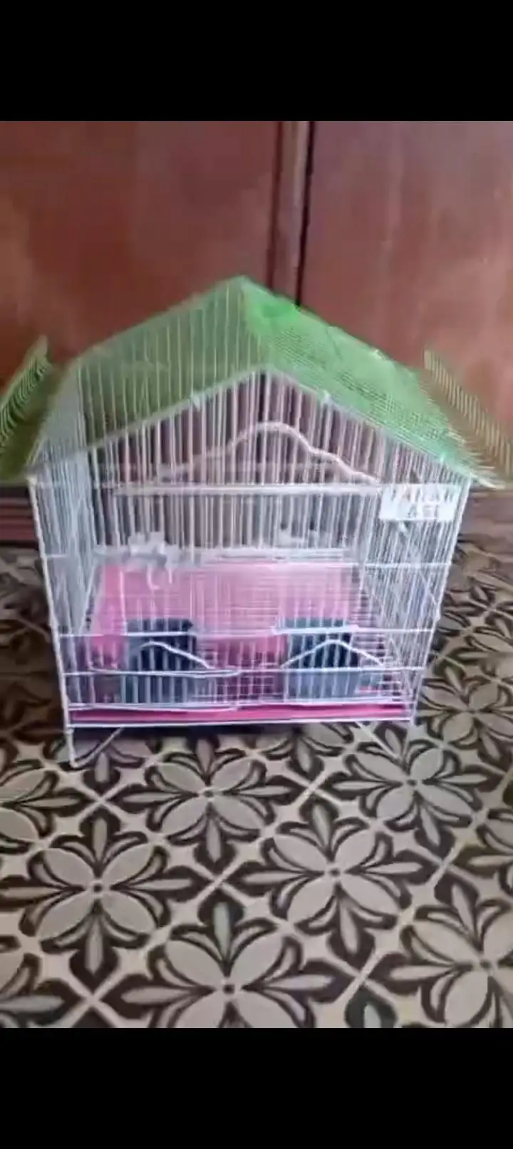 cages — photo 4