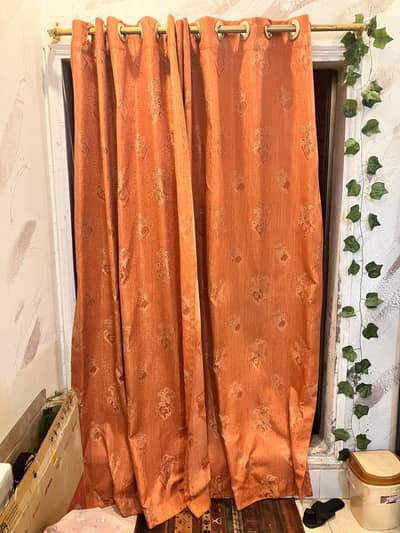 orange curtains