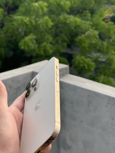 iPhone 13 Pro Max gold