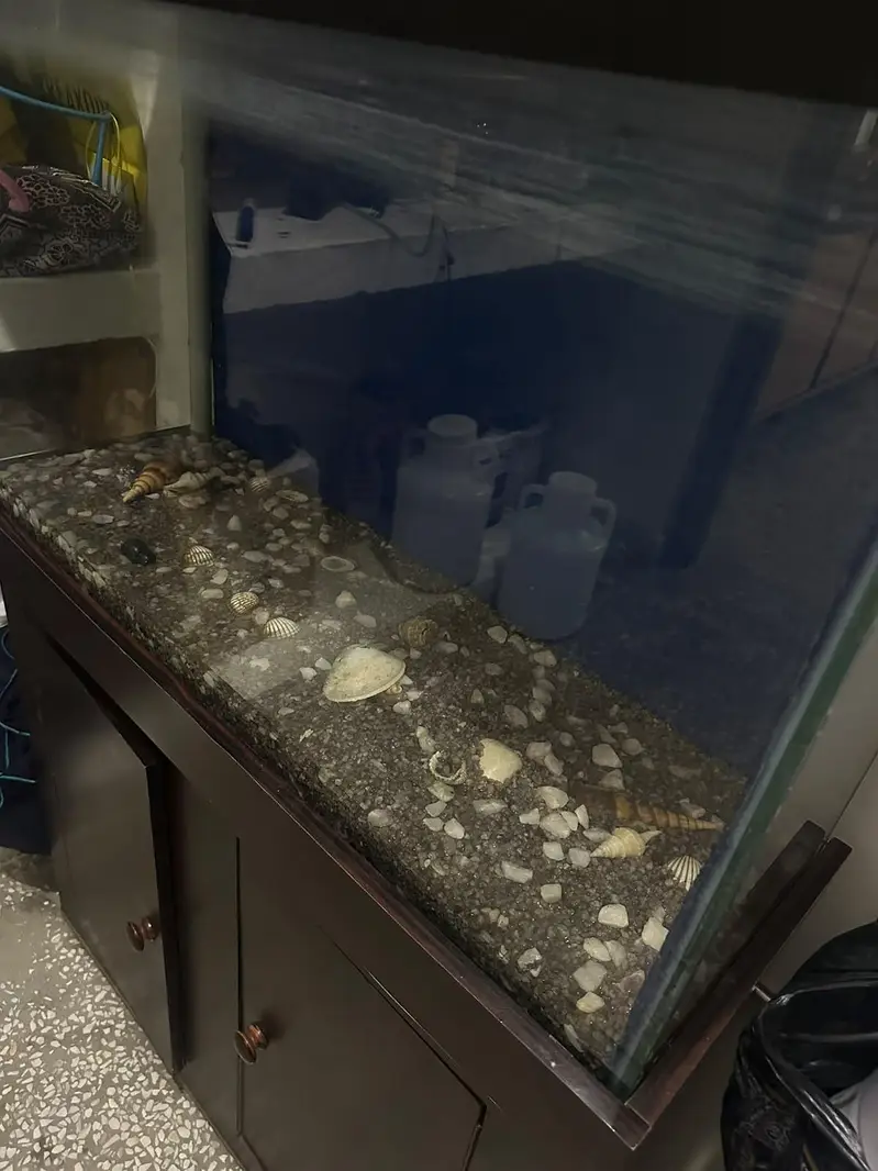 Aquarium for Sale  with Accesscories– Excellent Condition — photo 3
