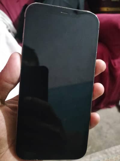 Apple iPhone 12 Pro Max jv