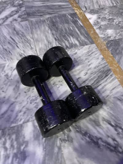 2 dumbbells 10 10 kgs