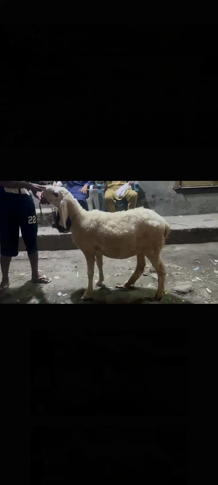 pregnant kajli bhair — photo 2