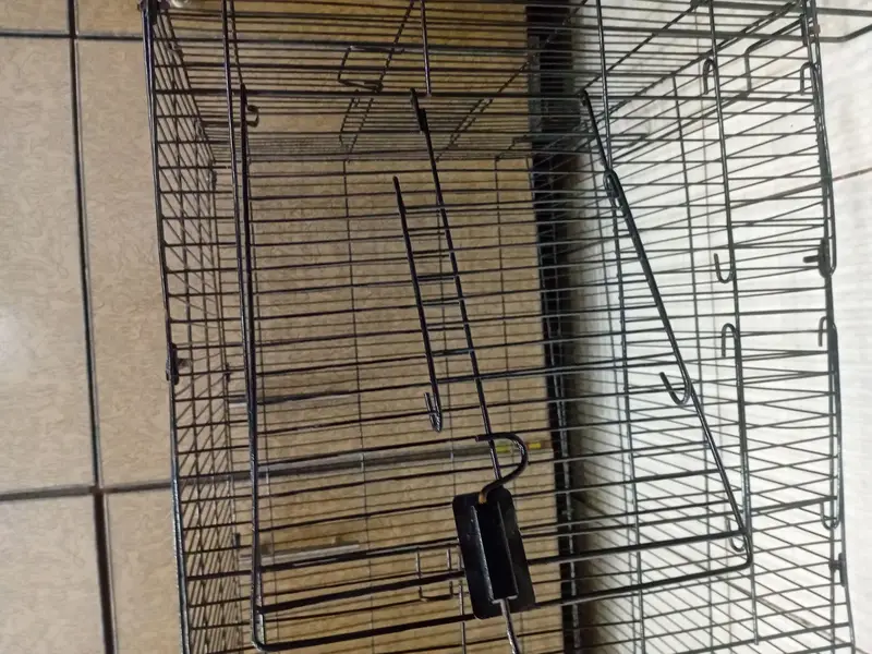 Large Foldable Bird Cage 3ft | Brand New Condition — photo 2