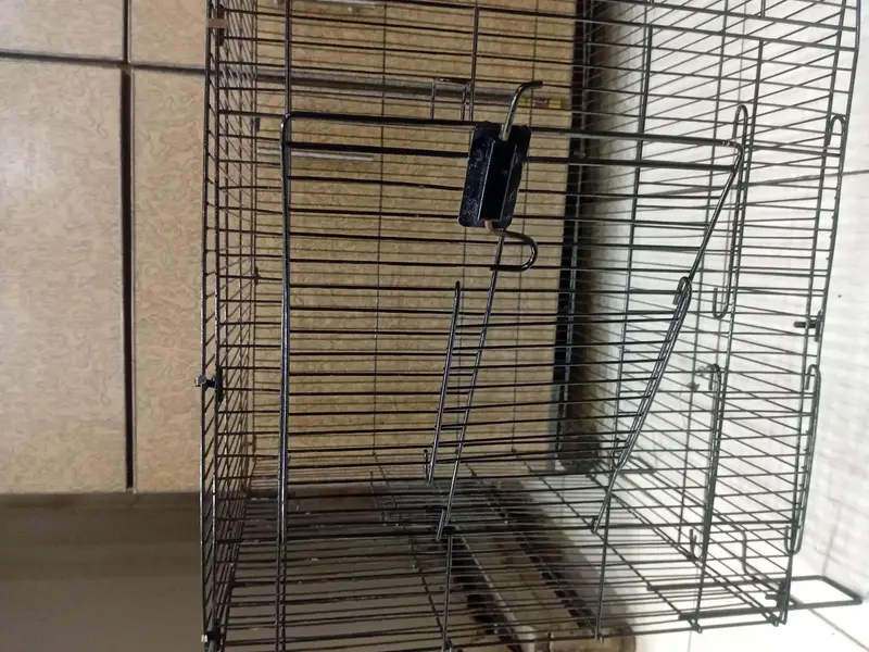 Large Foldable Bird Cage 3ft | Brand New Condition — photo 3