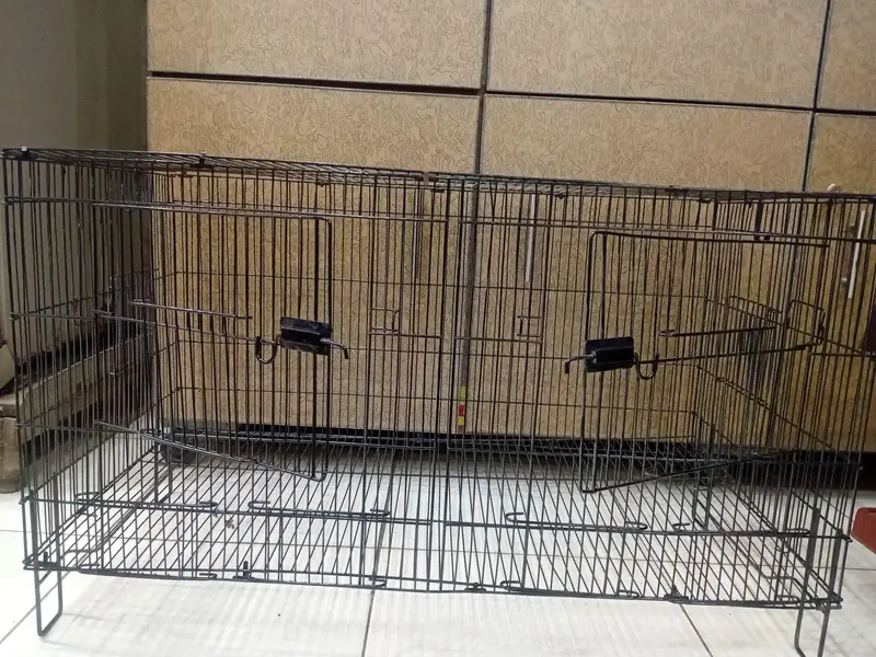 Large Foldable Bird Cage 3ft | Brand New Condition — photo 4
