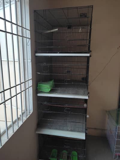 Master Folding Cage 2 x 2.5 ll Folding Cage l Slightly Use Cage