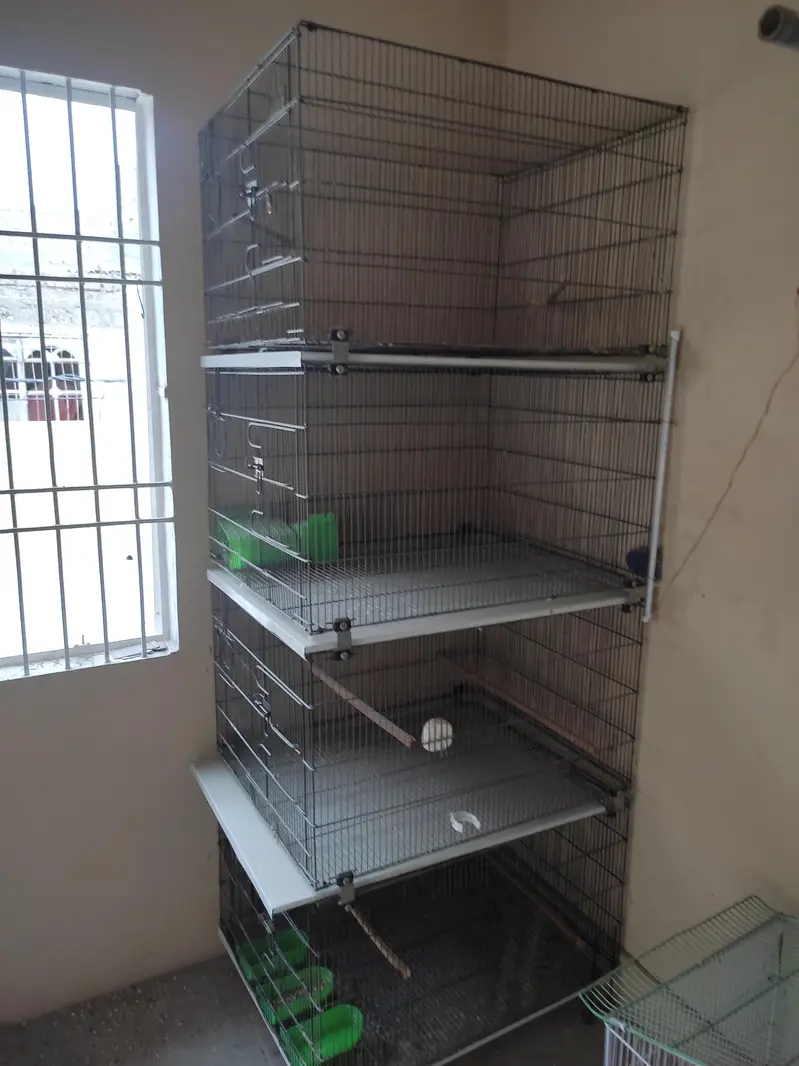 Master Folding Cage 2 x 2.5 ll Folding Cage l Slightly Use Cage — photo 2