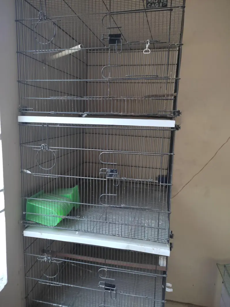 Master Folding Cage 2 x 2.5 ll Folding Cage l Slightly Use Cage — photo 3