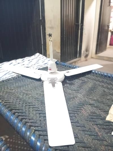 ceilling fan