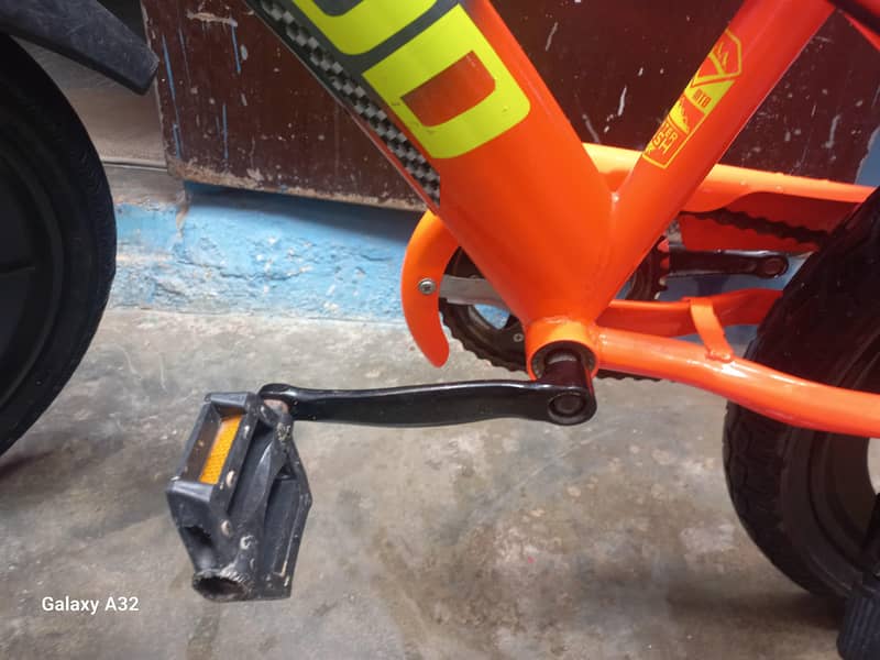 cycle beegood 6