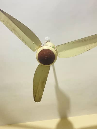 AC FAN ( TAIMOOR FANS)