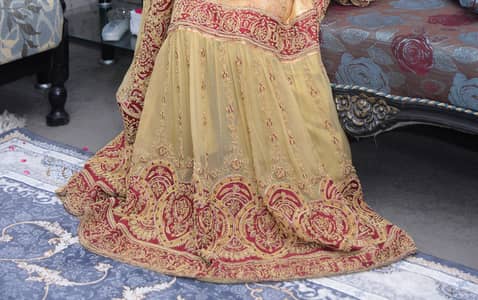 Rajistani lehnga dubatta shirt