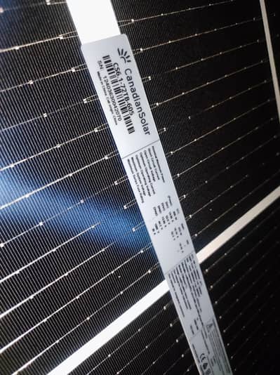 Canadian Solar Plates (Original 605W)