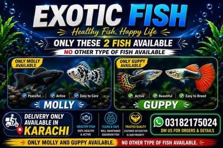 molly, guppy