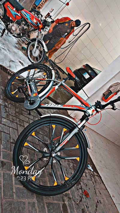 Roman bicycle