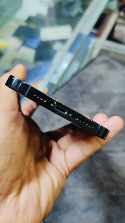 Apple iPhone 13 Pro Max/98HELTH/ water pack/