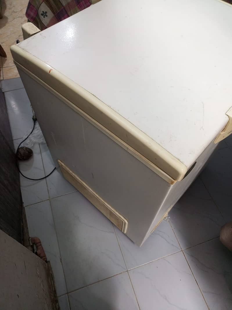 Freezer 4