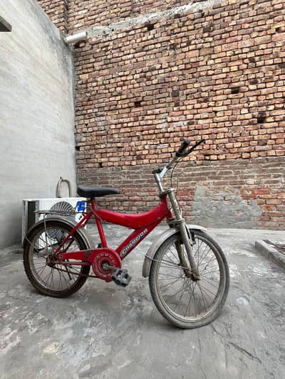 Bicycle champions red