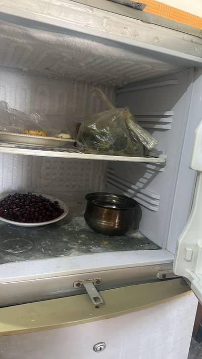 PEL Fridge