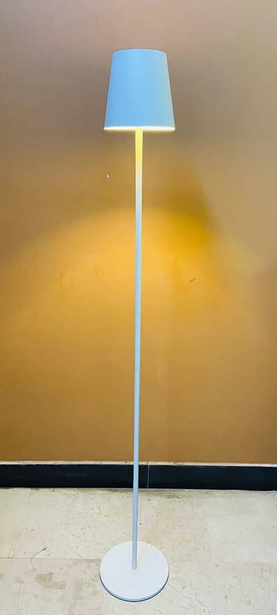 Imported Lamps