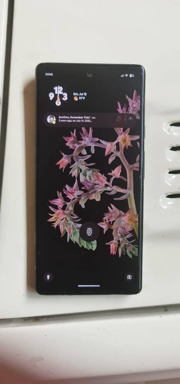 Google Pixel 6 0