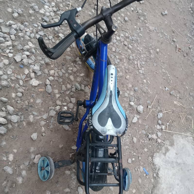 children cycle 0