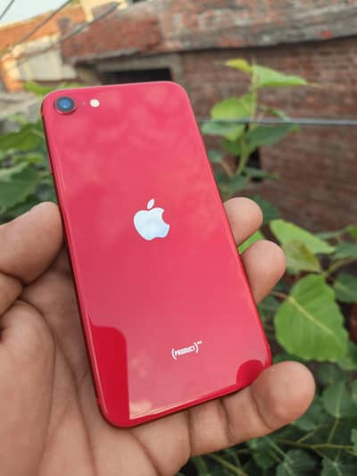Apple iPhone SE 2020 OFFICIAL PTA APPROVED