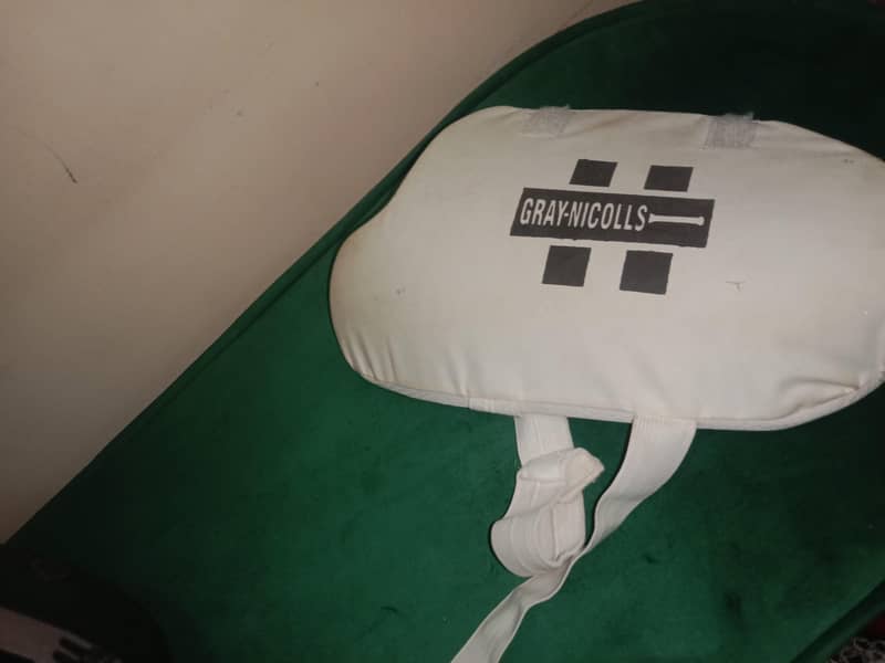 cricket kit 1