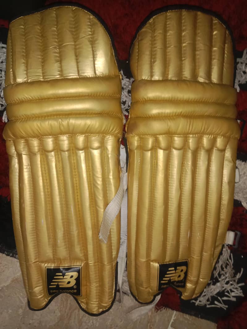cricket kit 2
