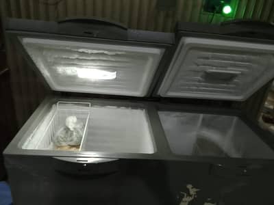 double door full large deep freezer 10/10 dawlance