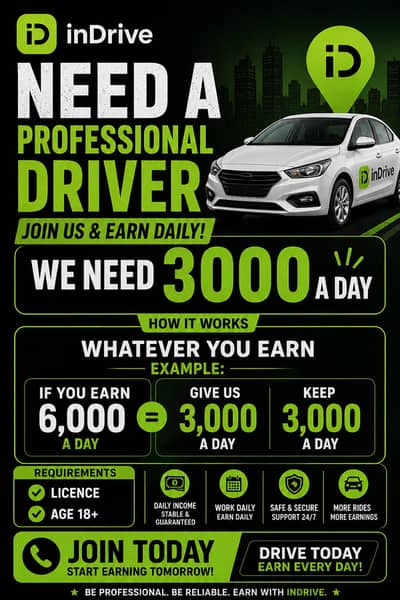 Need a professional driver salary per day