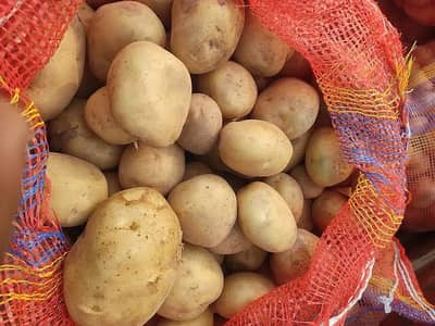 Fries patatos supplier 03458331661