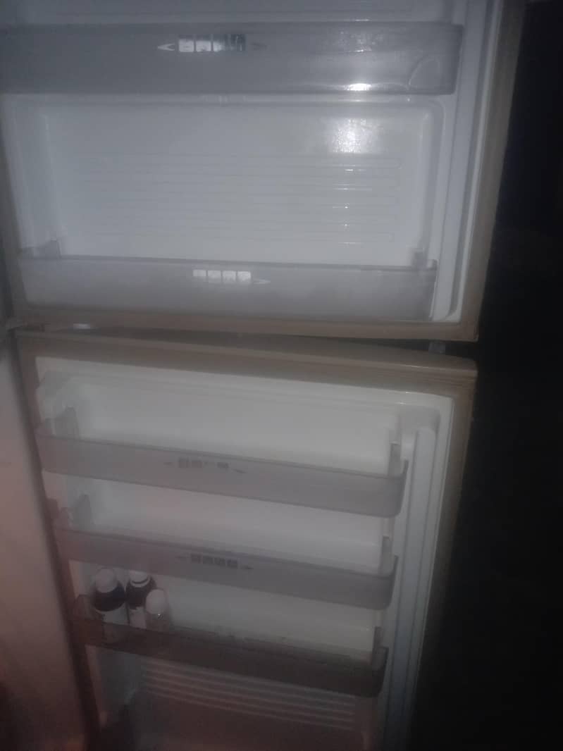frige 0