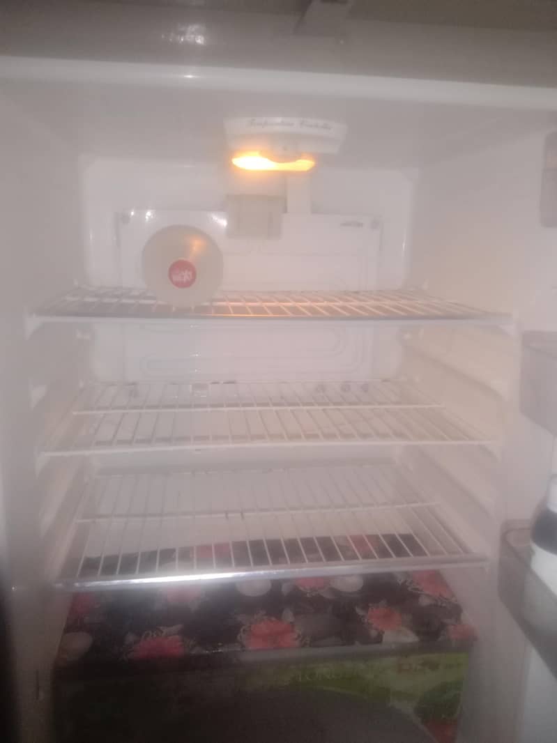 frige 1