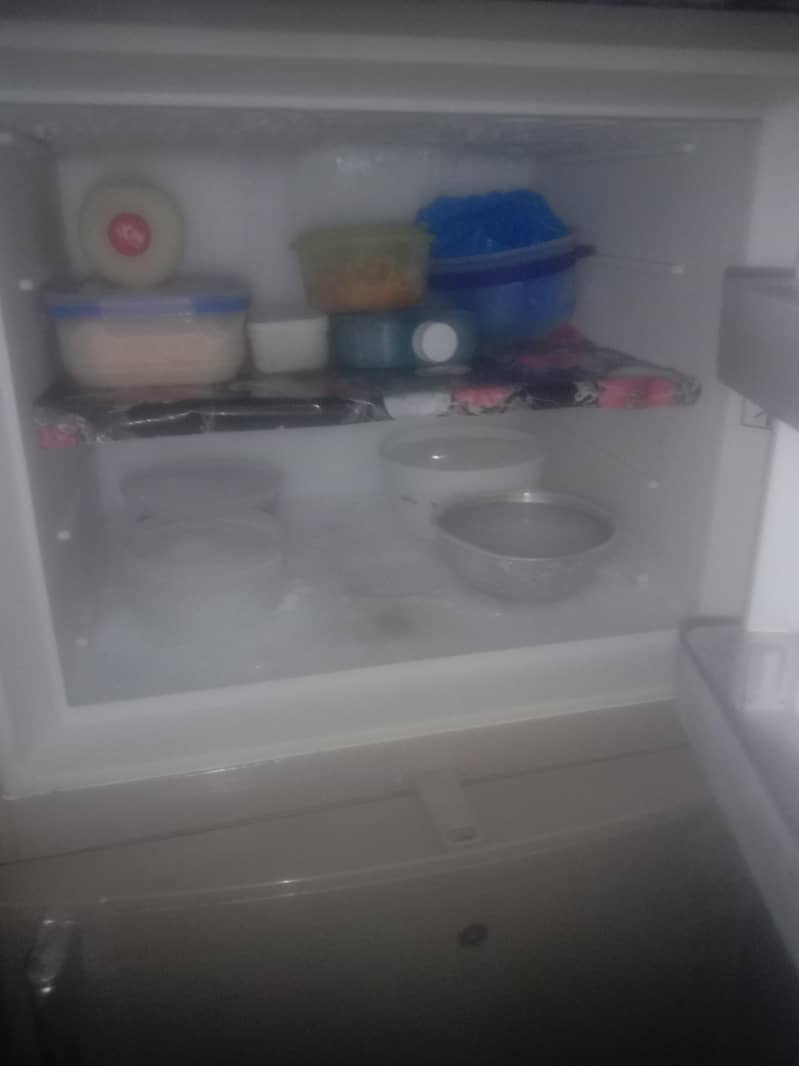 frige 2