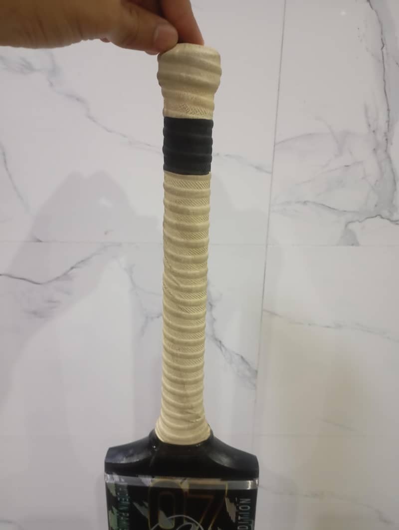 cricket bat 2