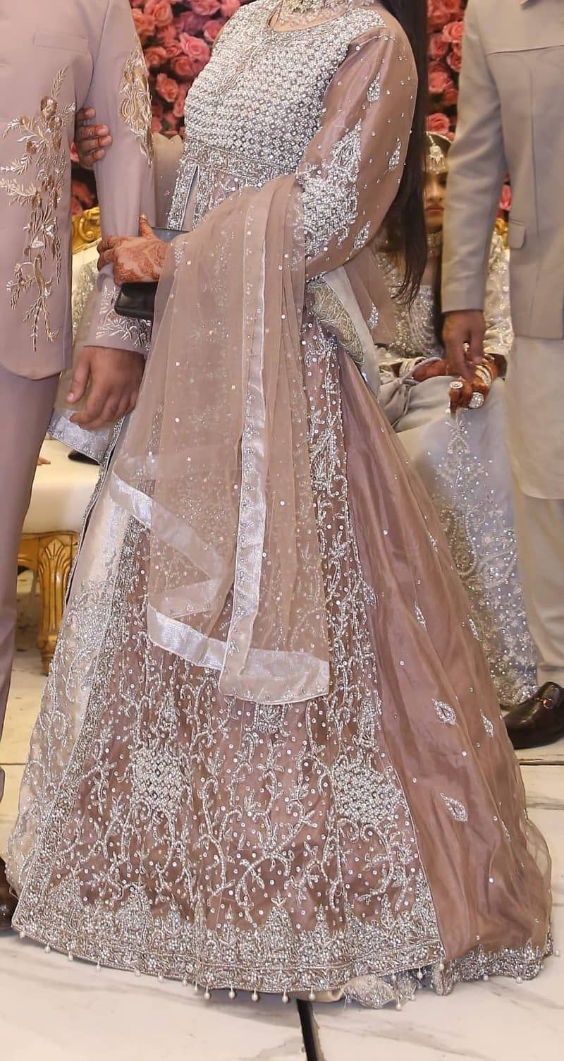 walima Maxii 1