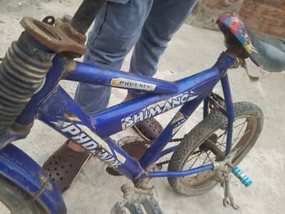 16 inch cycle for sale