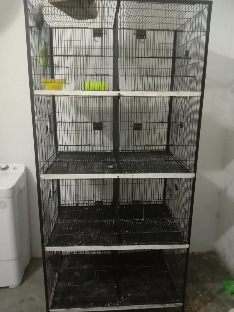 8 portion cage havy mazboot ful moti wire Wtp 03241858868