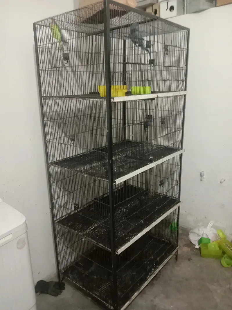8 portion cage full havy mazboot ful moti wire Wtp 03241858868 — photo 3