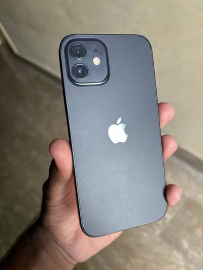 Apple iPhone 12 non pta (jv) 256 GB