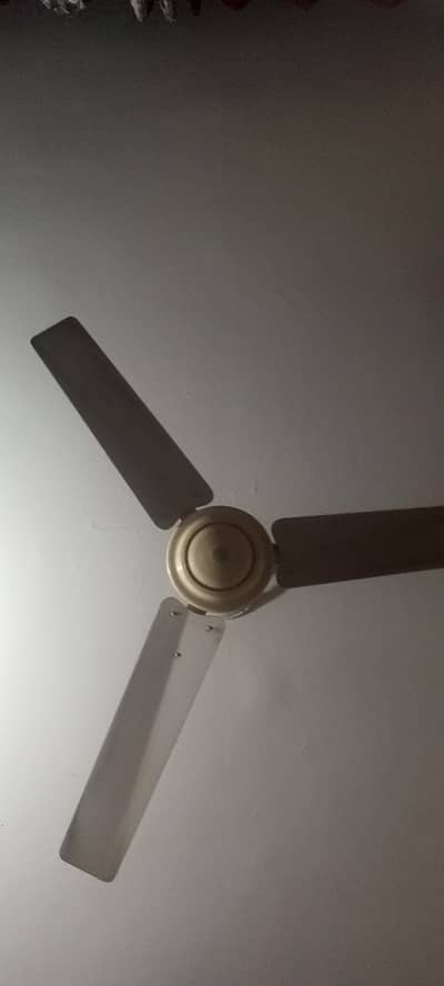 2 fans